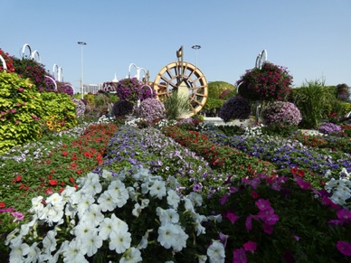 Miracle Garden
