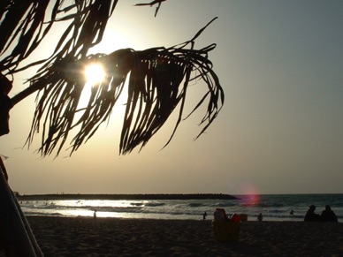 sur la plage un 11 novembre ...