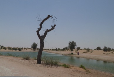 D&eacute;couverte de ces lacs peupl&eacute;s de flamants et autres canards