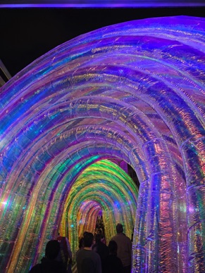 Duba&iuml; Light Festival sur le site de l'Expo