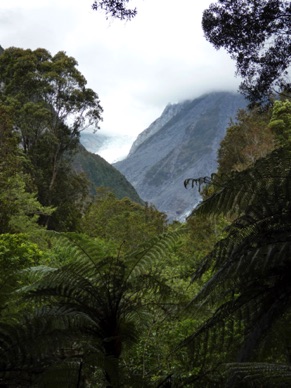 Fox Glacier