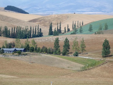 le paysage prend des airs de Toscane !!