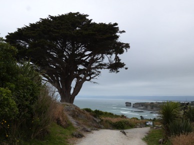 Cape Foulwind